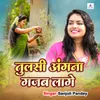 About Tulsi Angana Gajab Lage Song